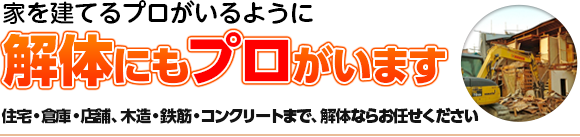 家を建てるプロがいるように解体にもプロがいます。